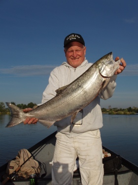 Spring salmon continue to make move on Feather River